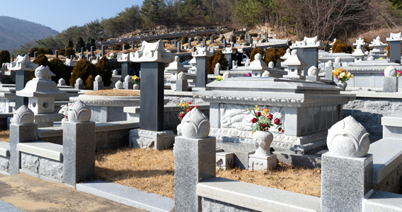 프리드라이프 가입