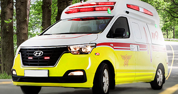 프리드라이프 장례서비스