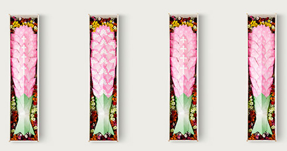 프리드라이프 웅진